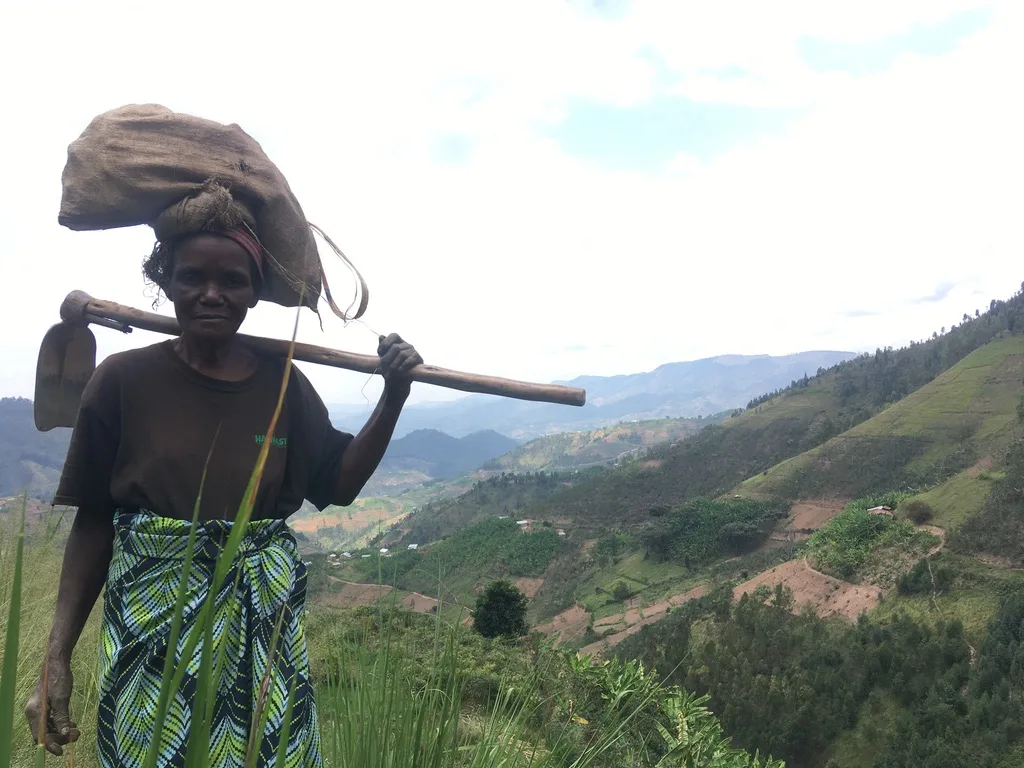A farmer carrying a hoe, looking out over terraced hills